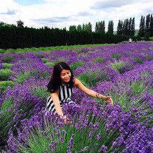 Meet your Posher, Vy